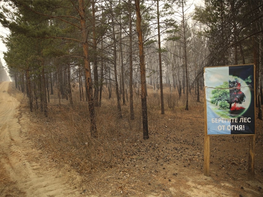 ​В Zабайкалье ограничен въезд в леса в связи с введением особого противопожарного режима